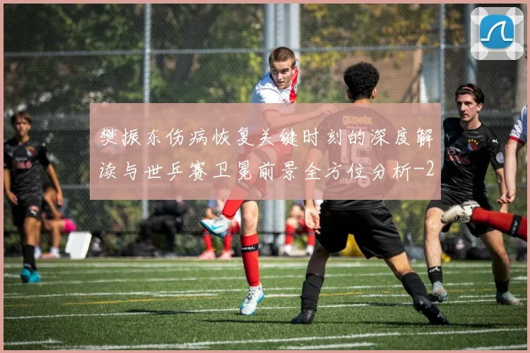 樊振东伤病恢复关键时刻的深度解读与世乒赛卫冕前景全方位分析