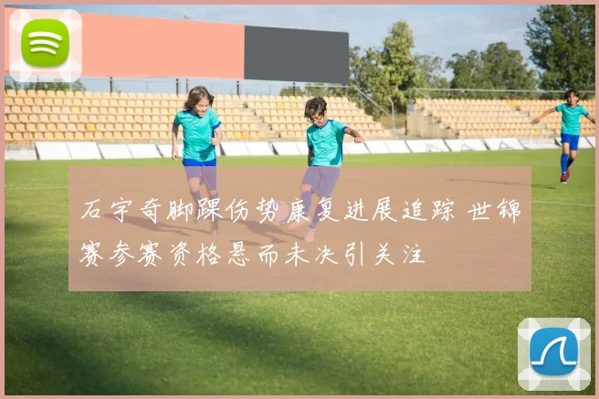 石宇奇脚踝伤势康复进展追踪 世锦赛参赛资格悬而未决引关注