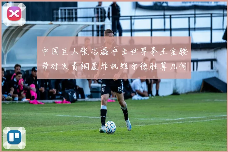中国巨人张志磊冲击世界拳王金腰带对决青铜轰炸机维尔德胜算几何