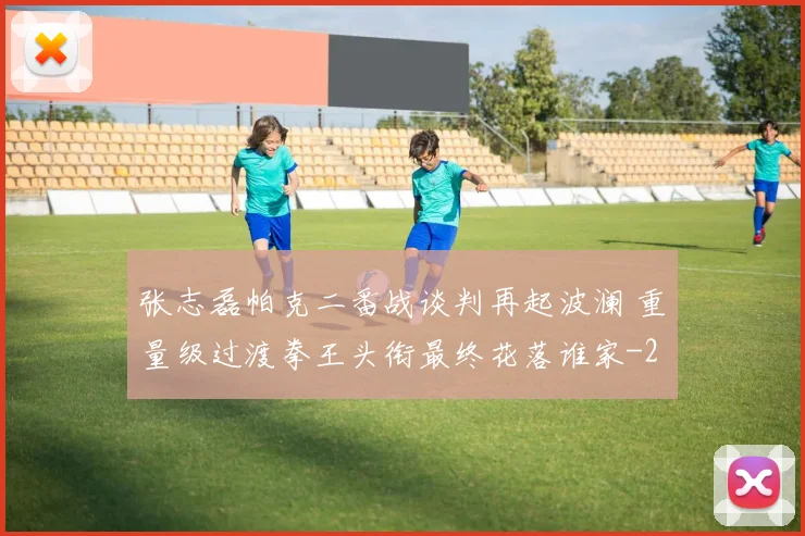 张志磊帕克二番战谈判再起波澜 重量级过渡拳王头衔最终花落谁家