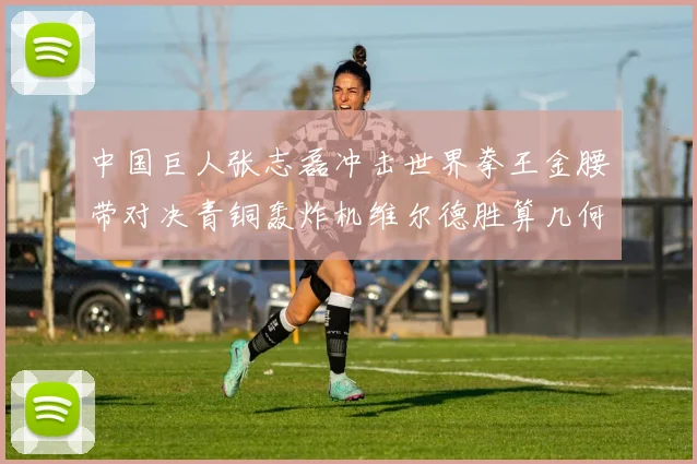 中国巨人张志磊冲击世界拳王金腰带对决青铜轰炸机维尔德胜算几何