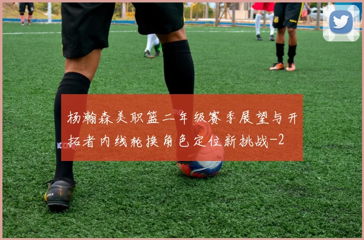 杨瀚森美职篮二年级赛季展望与开拓者内线轮换角色定位新挑战